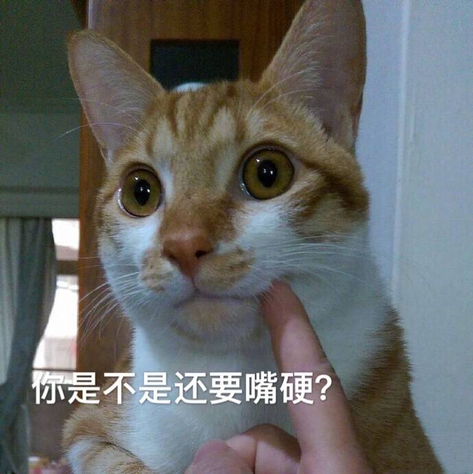 你是不是还要嘴硬？（猫咪）