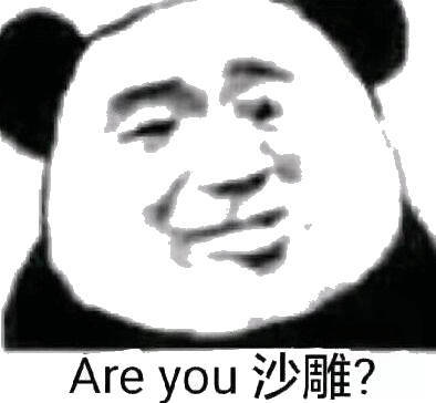 Are you 沙雕（你是沙雕吗）