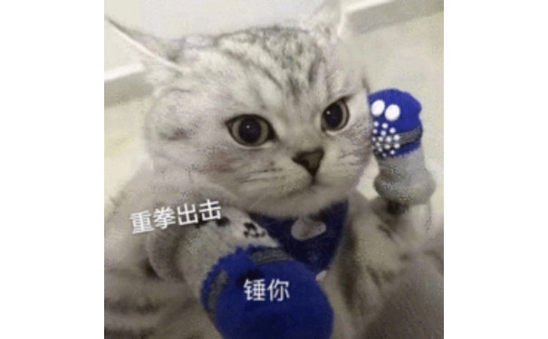 猫咪重拳出击锤你