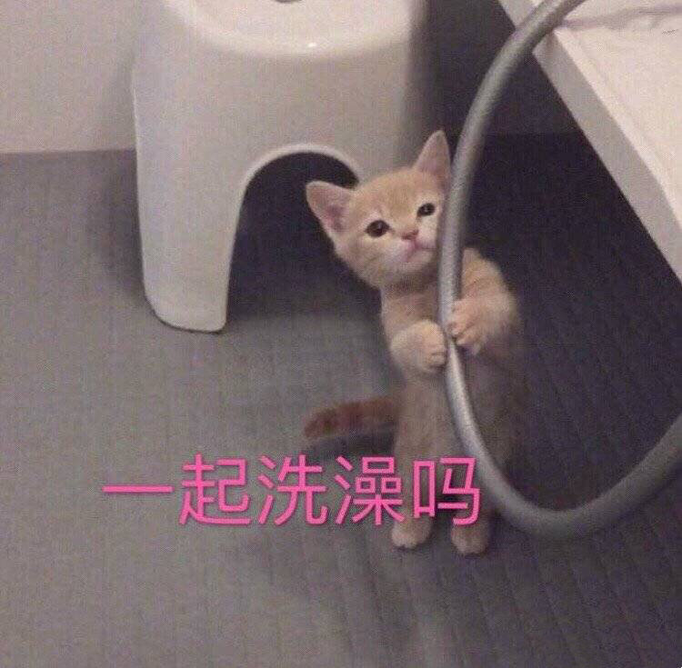 一起洗澡吗(猫咪表情包)