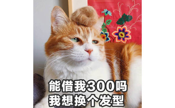 6 903能借我300吗我想换个发型 - 猫星人表情包第十弹