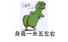 身高一米五左右 - 我家马建国丢了（frog）