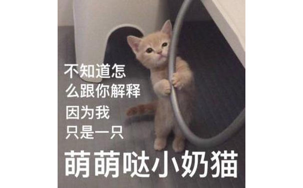 不知道怎么跟你解释因为我只是一只萌萌哒小奶猫