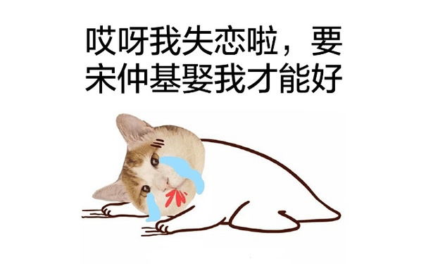 哎呀，我失恋啦，要宋仲基娶我才能好 - 猫头宋仲基表情