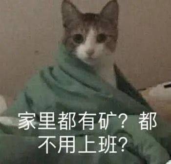 家里都有矿?都不用上班?(猫咪表情包)