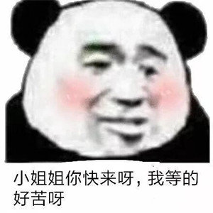 小姐姐你快来呀,我等的好苦呀(熊猫头撩妹表情包)