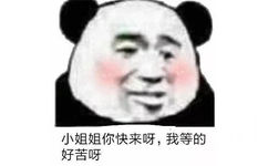 小姐姐你快来呀,我等的好苦呀(熊猫头撩妹表情包)