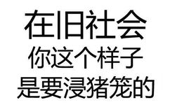 在旧社会 你这个样子 是要浸猪笼的 - 微信纯文字表情~~污污污(第四波)