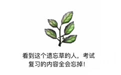 看到这个遗忘草的人，考试复习的内容全会忘掉