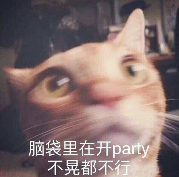 脑袋里在开 party 不晃都不行（猫咪）