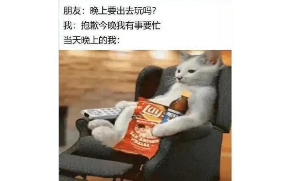 朋友：晚上要出去玩吗？我：抱歉今晚我有事要忙当天晚上的我：lay