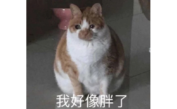 我好像胖了（猫咪）