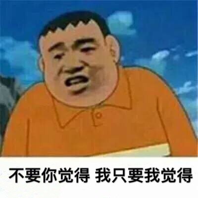 不要你觉得 我只要我觉得（胖虎表情包）