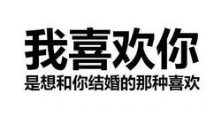 我喜欢你，是想和你结婚的那种喜欢 - 纯文字表情包，也很有杀伤性！