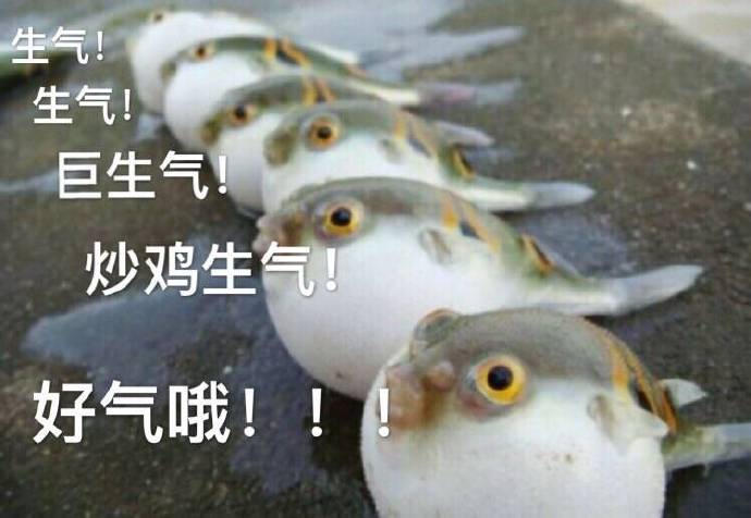 生气！巨生气！炒鸡生气！好气哦！！！ - 咸鱼系列表情包