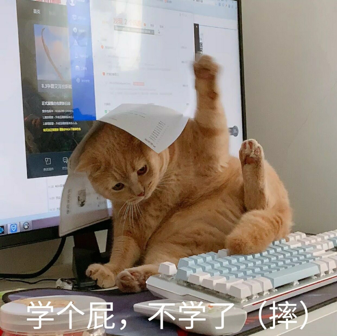 学个屁 不学了 摔 猫咪表情包