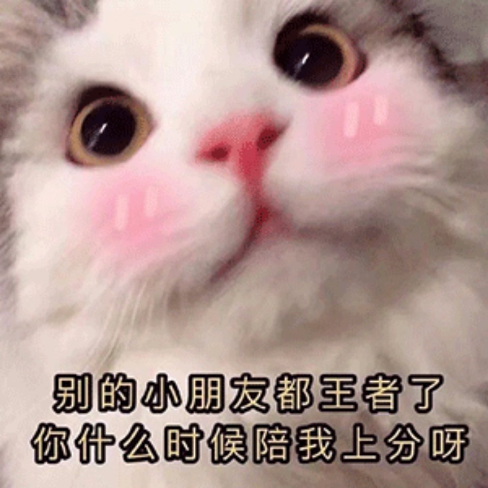 别的小朋友都王者了你什么时候陪我上分呀(猫猫表情包)