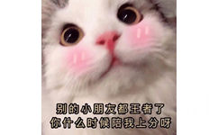 别的小朋友都王者了你什么时候陪我上分呀(猫猫表情包)