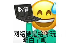 煞笔网络硬是给你玩明白了呗