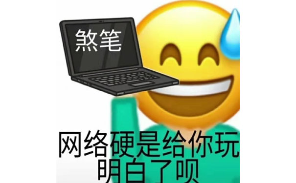 煞笔网络硬是给你玩明白了呗