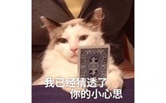 我已经猜透了你的小心思