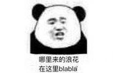 哪里来的浪花在这里 blabla(熊猫头)