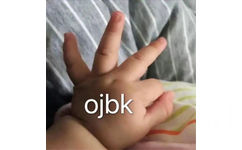 ojbk(ok)