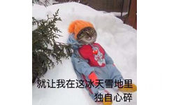 就让我在这冰天雪地里独自心碎