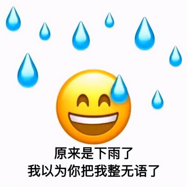 原来是下雨了 我以为你把我整无语了 - 全员流汗表情包