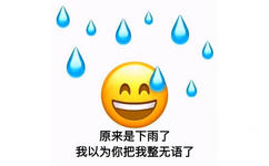 原来是下雨了 我以为你把我整无语了 - 全员流汗表情包