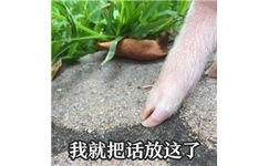 我就把话放这了（猪蹄） - 猪猪表情包系列