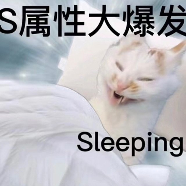 S属性大爆发Sleeping