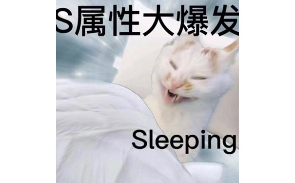 S属性大爆发Sleeping