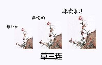 草三连：谁让你 乱吃的 妈卖批 - 古人三连系列齐了