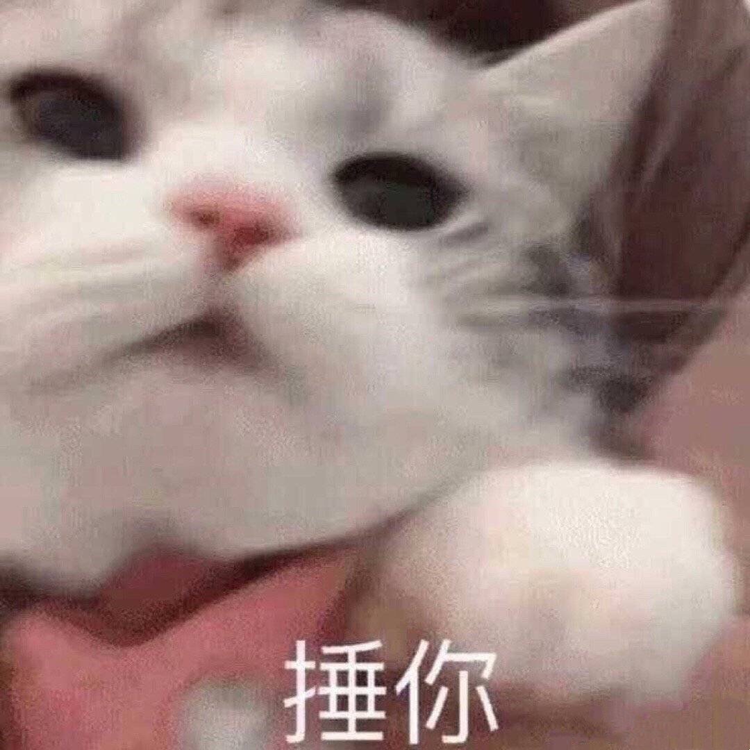 猫咪捶你