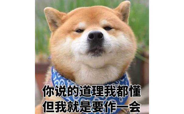 你说的道理我都懂但我就是要作一会 - 柴犬表情包系列