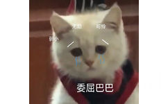 无助可怜弱小委屈巴巴