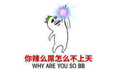 你辣么屌怎么不上天呢？（why are you so bb）