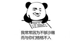 我常常因为不够沙雕而与你们格格不入(熊猫头)