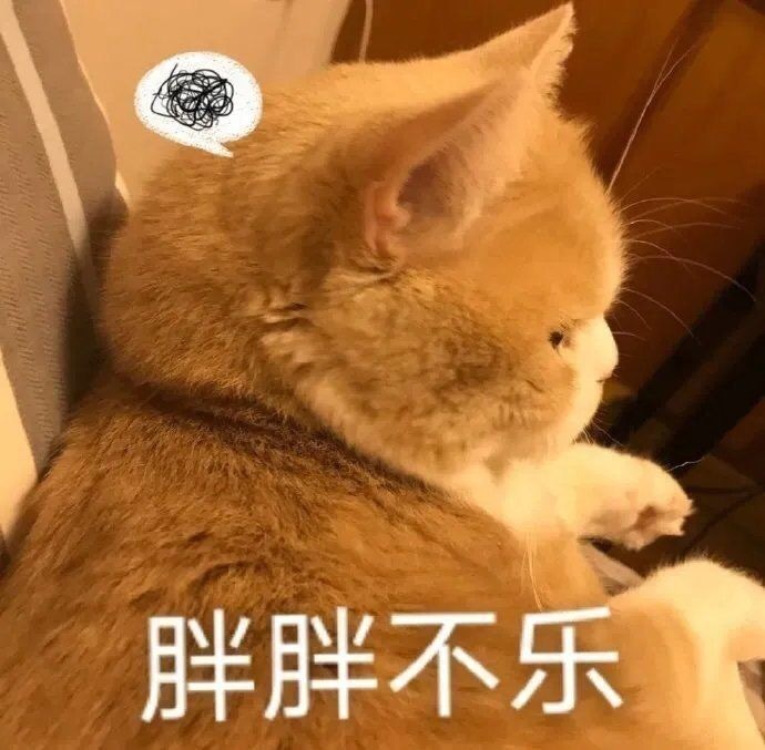 胖胖不乐(猫咪表情包)