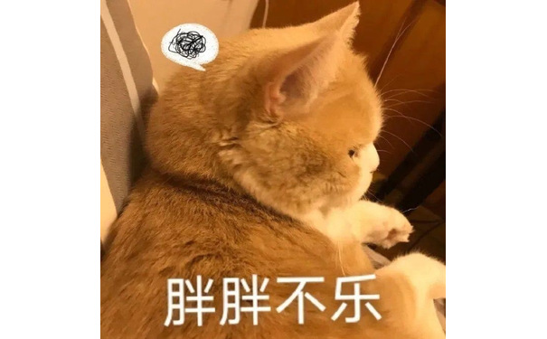 胖胖不乐(猫咪表情包)