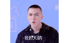 我的天呐 青春有你2Jony J表情包