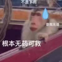 不是下雨是我无语根本无药可救