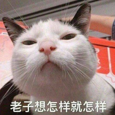 老子想怎样就怎样(猫咪表情包)