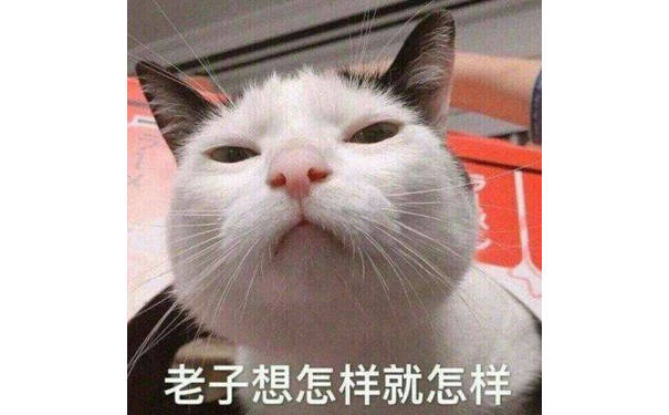 老子想怎样就怎样(猫咪表情包)