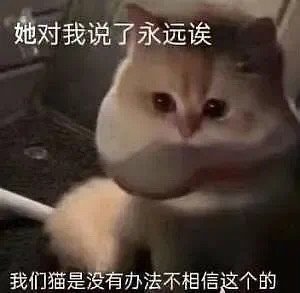 她对我说了永远诶我们猫是没有办法不相信这个的