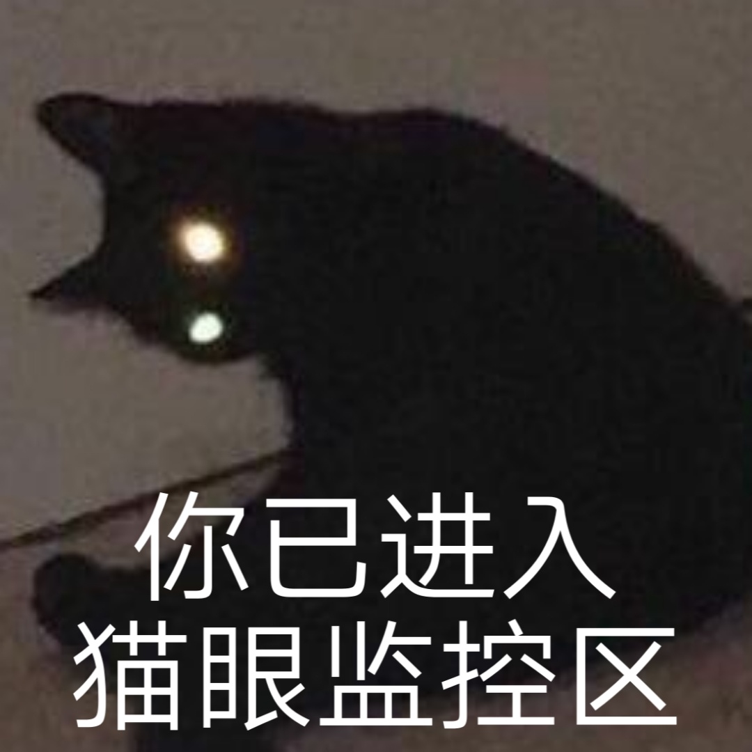 你已进入猫眼监控区 - 液体猫咪表情包