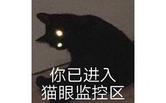 你已进入猫眼监控区 - 液体猫咪表情包