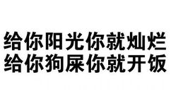 给你阳光你就灿烂，给你狗屎你就开饭 - 对付你，一根手指就够了（文字表情）