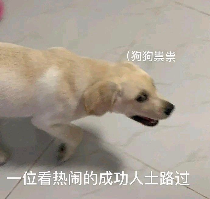 狗狗祟祟一位看热闹的成功人士路过